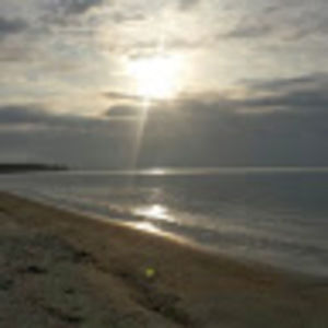 Meet your Posher, Darci